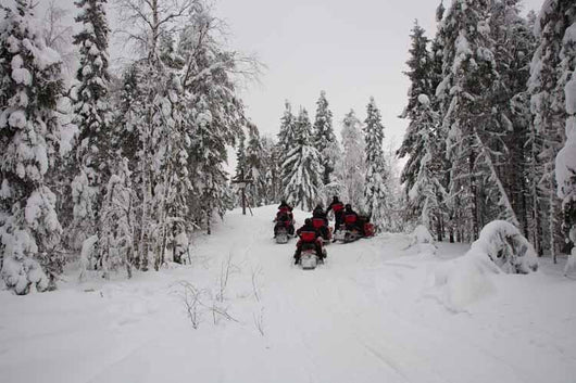 Pathfinder Winter Snowmobile Wall Decal