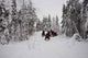 Pathfinder Winter Snowmobile Wall Decal