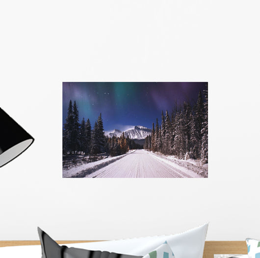 A Winter Road Wall Mural