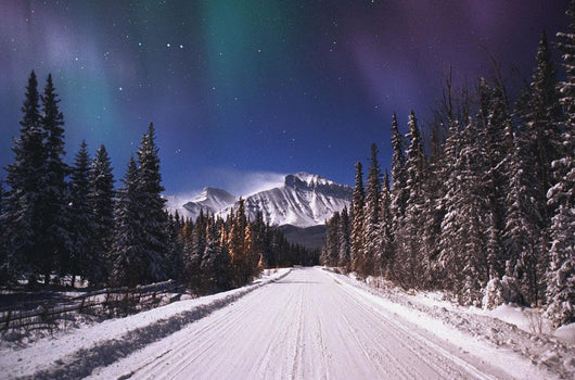 A Winter Road Wall Mural