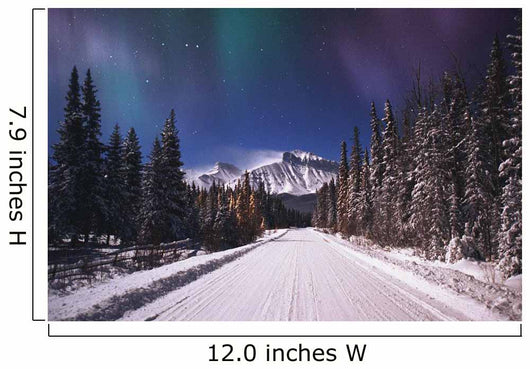 A Winter Road Wall Mural