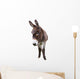 Domestic Donkey White Wall Decal