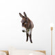 Domestic Donkey White Wall Decal