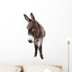 Domestic Donkey White Wall Decal