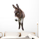 Domestic Donkey White Wall Decal