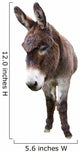Domestic Donkey White Wall Decal