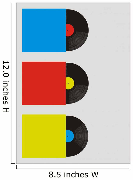 Records Wall Mural