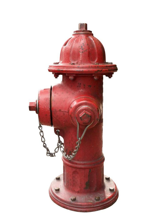 Fire Hydrant Wall Mural