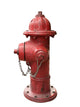 Fire Hydrant Wall Mural