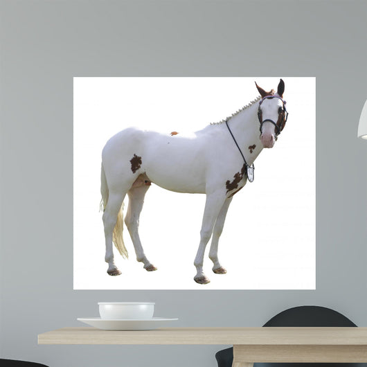 Painted Stallion Wall Decal