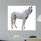 Painted Stallion Wall Decal