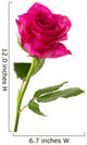 Single rose Wall Decal