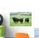 Farm Cattle