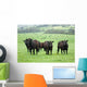 Farm Cattle