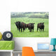 Farm Cattle