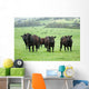 Farm Cattle