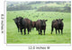 Farm Cattle