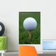 Golf Ball on Tee Wall Mural