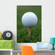 Golf Ball on Tee Wall Mural