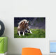 Haflinger Foal Wall Decal