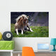 Haflinger Foal Wall Decal