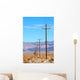 power lines death valley Wall Mural