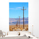 power lines death valley Wall Mural