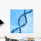 Digital illustration of a dna Wall Mural