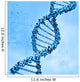 Digital illustration of a dna Wall Mural
