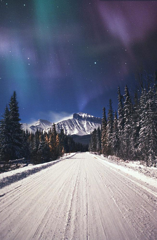 Northern Lights Over A Snowy Road Wall Mural