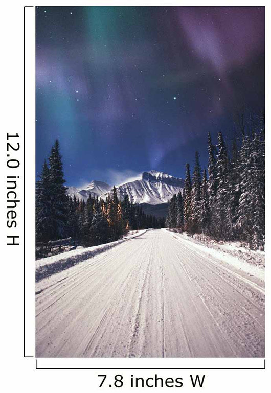 Northern Lights Over A Snowy Road Wall Mural