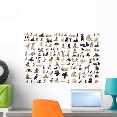 Purebred Dogs Wall Mural shown on a wall