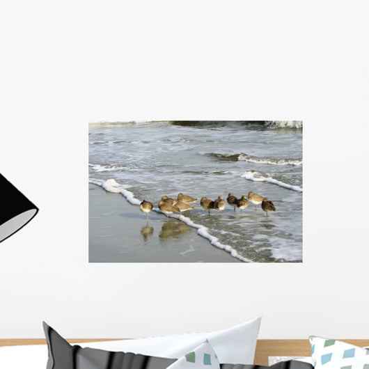 Sleeping Sandpipers Wall Mural