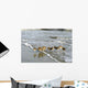 Sleeping Sandpipers Wall Mural