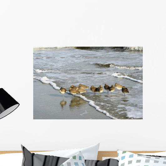 Sleeping Sandpipers Wall Mural