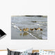 Sleeping Sandpipers Wall Mural