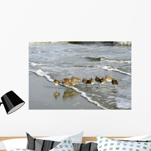 Sleeping Sandpipers Wall Mural
