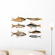 seven freshwater fish Wall Decal