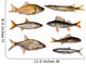 seven freshwater fish Wall Decal