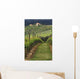 Tuscan Villa and Vineyard