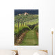 Tuscan Villa and Vineyard