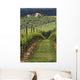 Tuscan Villa and Vineyard
