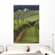 Tuscan Villa and Vineyard
