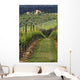 Tuscan Villa and Vineyard