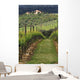 Tuscan Villa and Vineyard