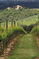 Tuscan Villa and Vineyard