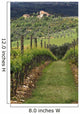 Tuscan Villa and Vineyard