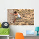Climbing Wall Decal