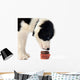 Puppy and Chocolate Cupcake Wall Decal