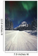 Mountains And Northern Lights Wall Mural